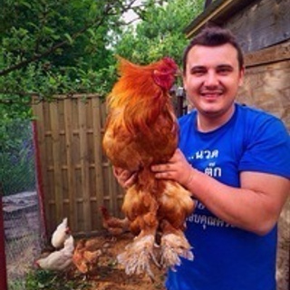 Отзывы клиентов. Свадебный и семейный Фотограф Денис Кошель