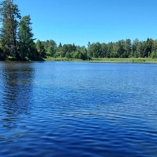 Отзывы. Юля Шаровьёва семейный и свадебный фотограф в Санкт-Петербурге