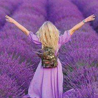 Отзывы. Ведущий в Москве Никита Колотушкин