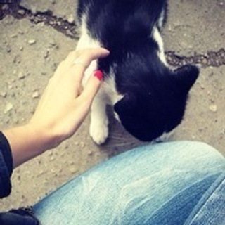 ОТЗЫВЫ. Свадебный семейный фотограф в Иркутске Светлана Светлакова