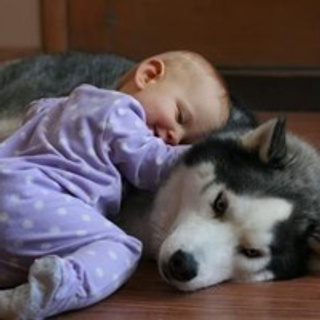 ОТЗЫВЫ. Свадебный фотограф в Самаре Анна Ковалева