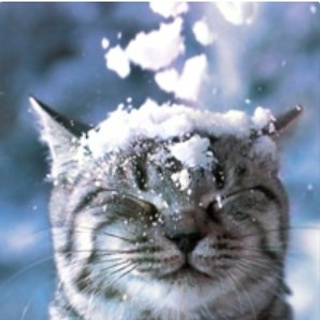 Свадебный и семейный фотограф в Омске Мормулев Михаил. Свадебный и семейный фотограф в Омске Мормулев Михаил