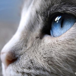 Reviews. Photographer Sergey Otkrytyi in Batumi & Tbilisi