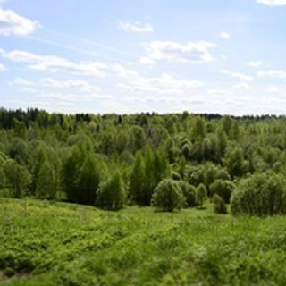 Отзывы на услуги фотографа в Майкопе. Семейный и свадебный фотограф в Майкопе Михаил Мартиросян
