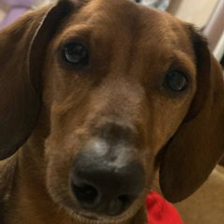 Отзывы. Танцор/Хореограф/Наставник Москва