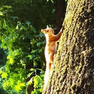 Отзывы. Детский и школьный фотограф в Королёве Андрей Цимбал