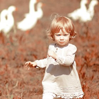 САША И&nbsp;ГУСИ