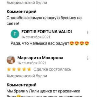 Отзывы. ПИТОМНИК СОБАК ПОРОДЫ АМЕРИКАНСКИЙ БУЛЛИ