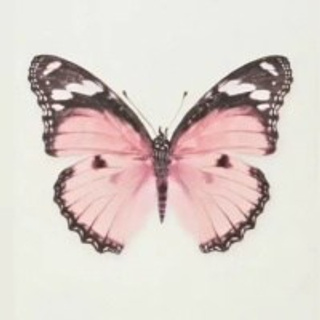 Ваши отзывы