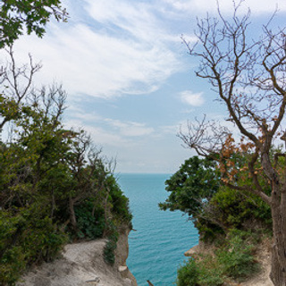Отзывы. Алиса Пиневич Фотограф Москва