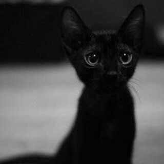 Ведущий Алексей Зубков. Ведущий на свадьбу в Москве Зубков Алексей