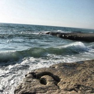 Отзывы. Фотограф новорожденных Екатеринбург