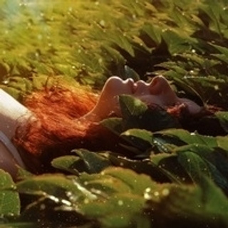 Отзывы. Фотограф Вячеслав Потемкин Москва