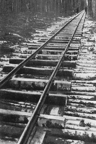 Строительство ж/д узкоколейки ст. Жихарево — раз. Жарок. История Назиевского городского поселения