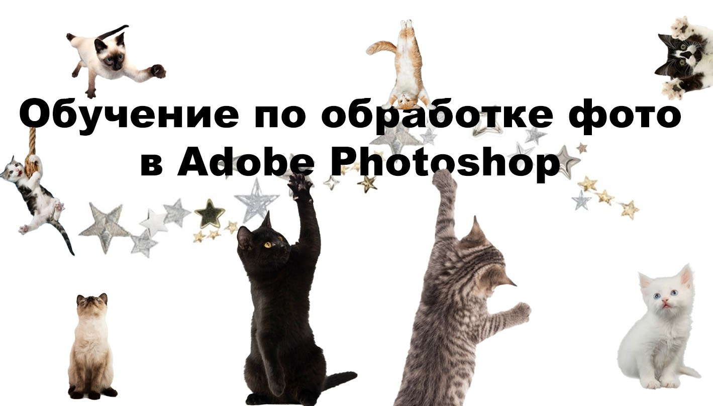 Ниндзя Цвета / обработка фото. Фотограф Казань | Юлия Харламова