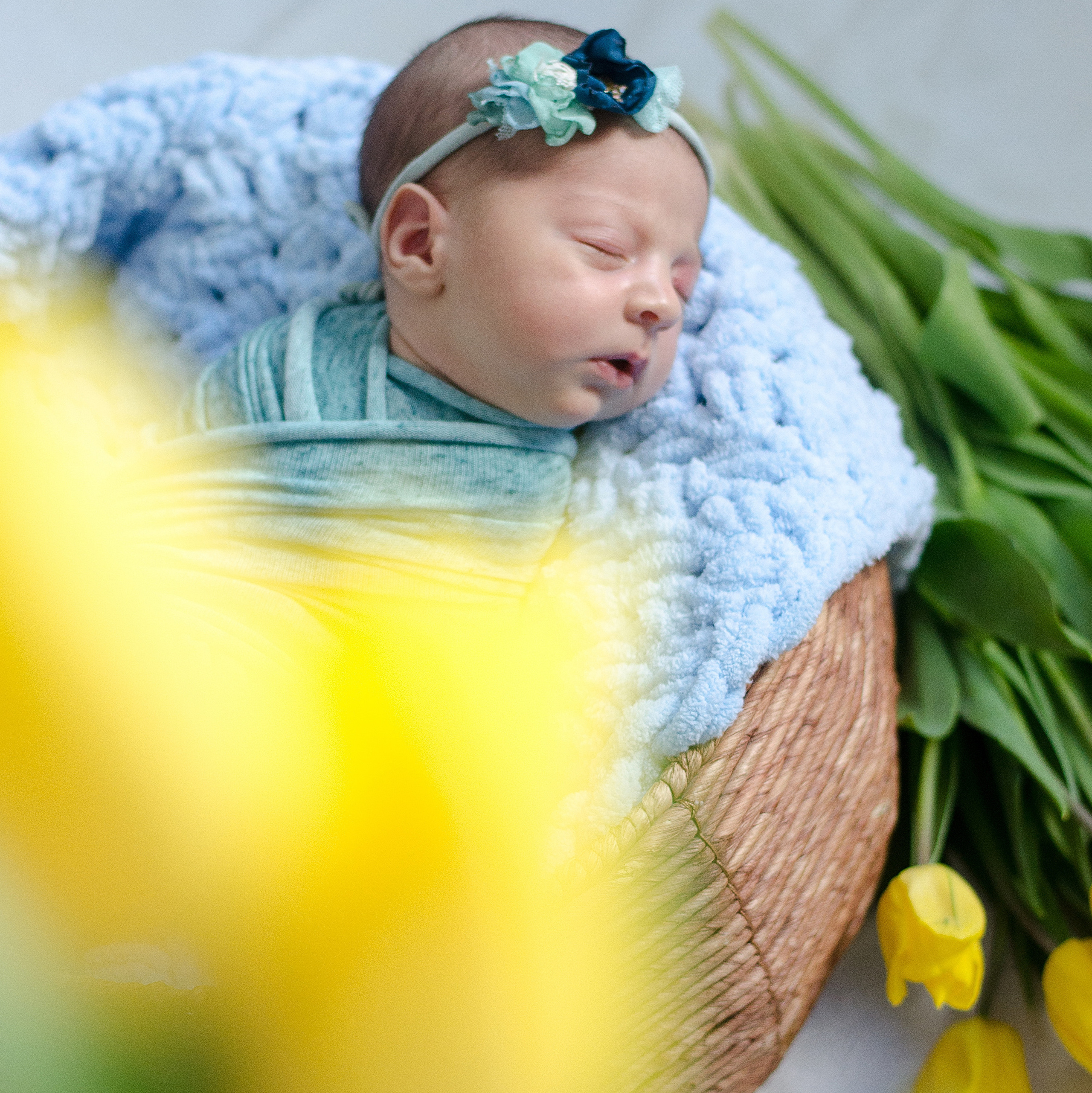 Контакты. Фотограф новорожденных Воронеж — Дорохина Яна. Семейный фотограф