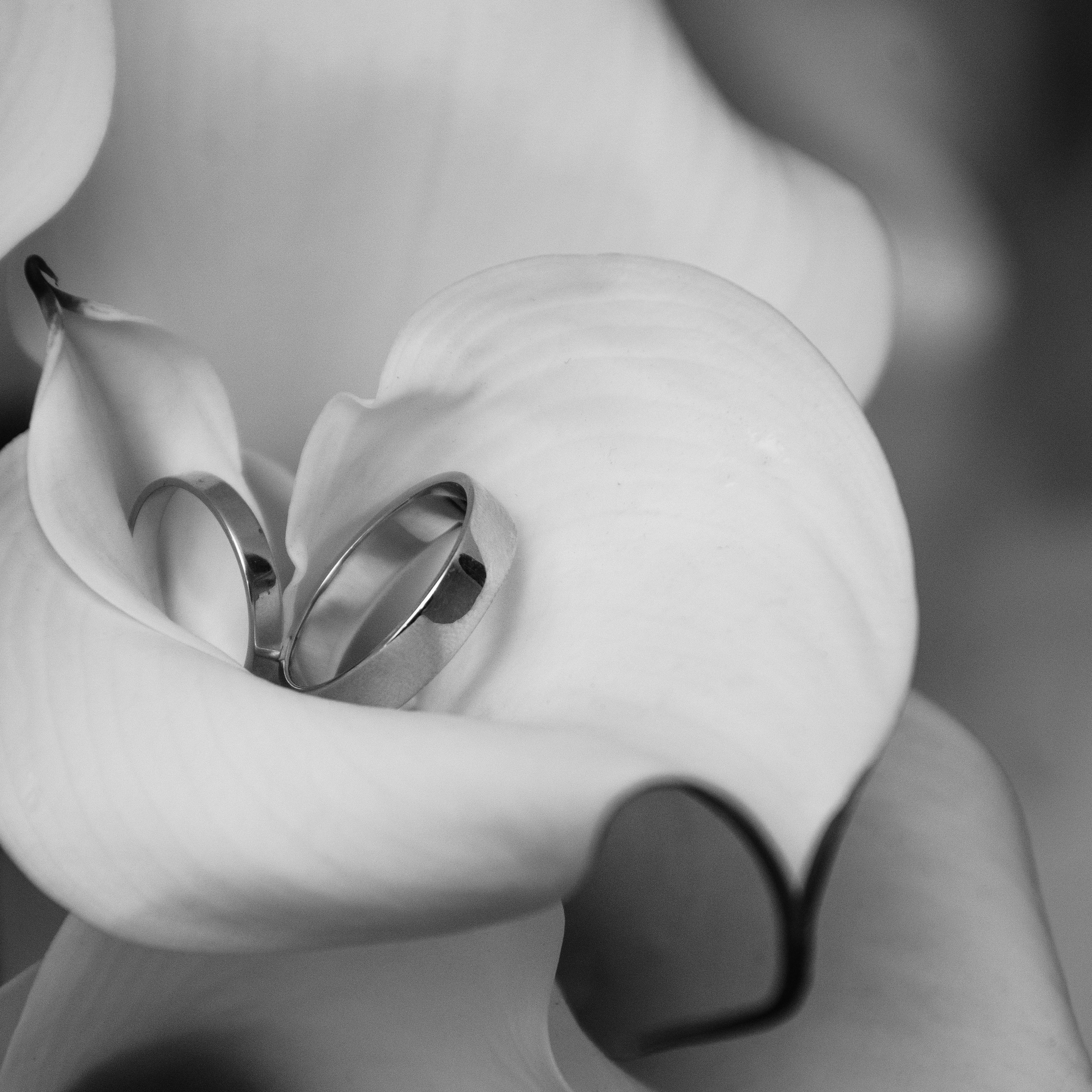 Свадебный фотограф в Волгограде и Краснодаре