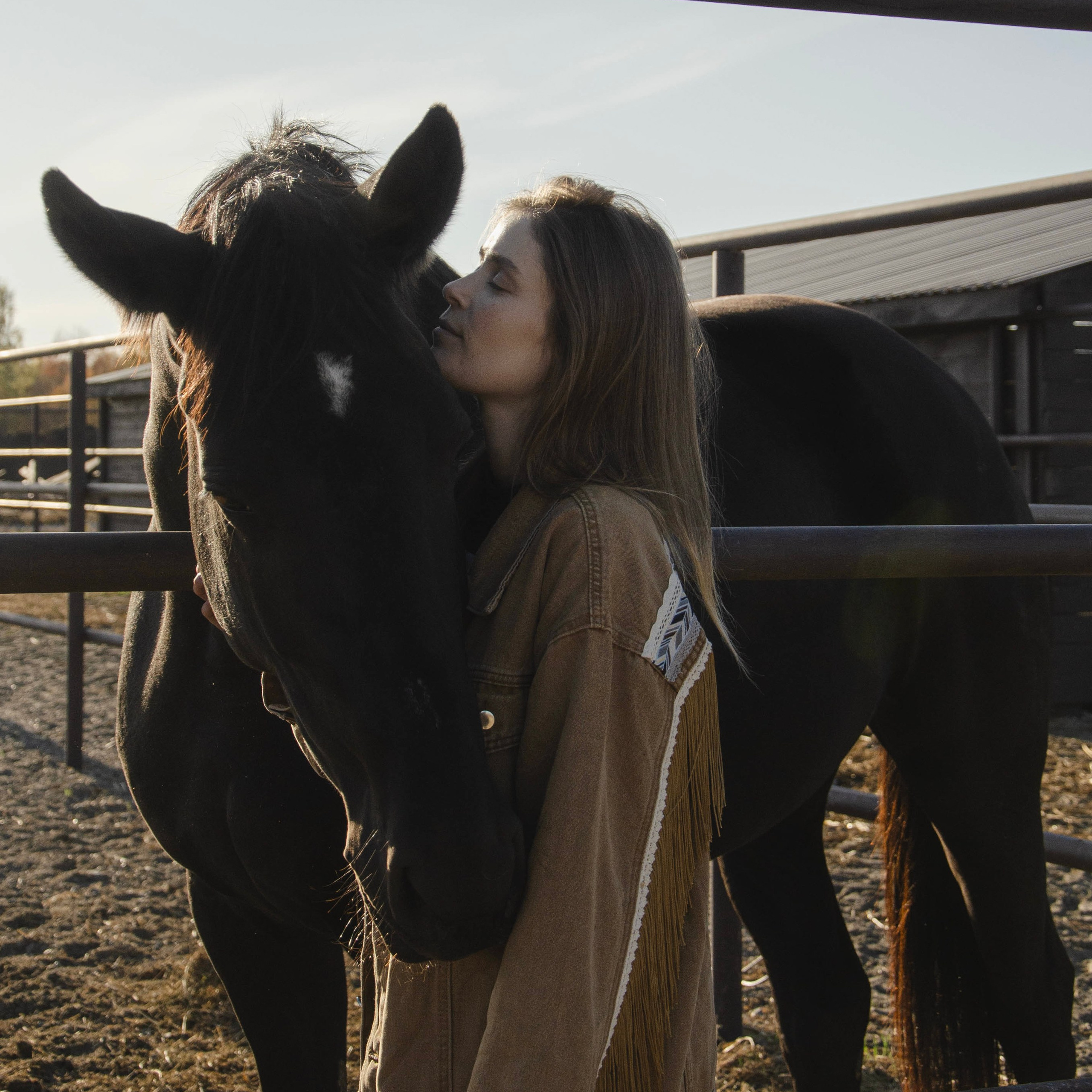 Связаться. Фотосессии с лошадьми в Москве, Новосибирске