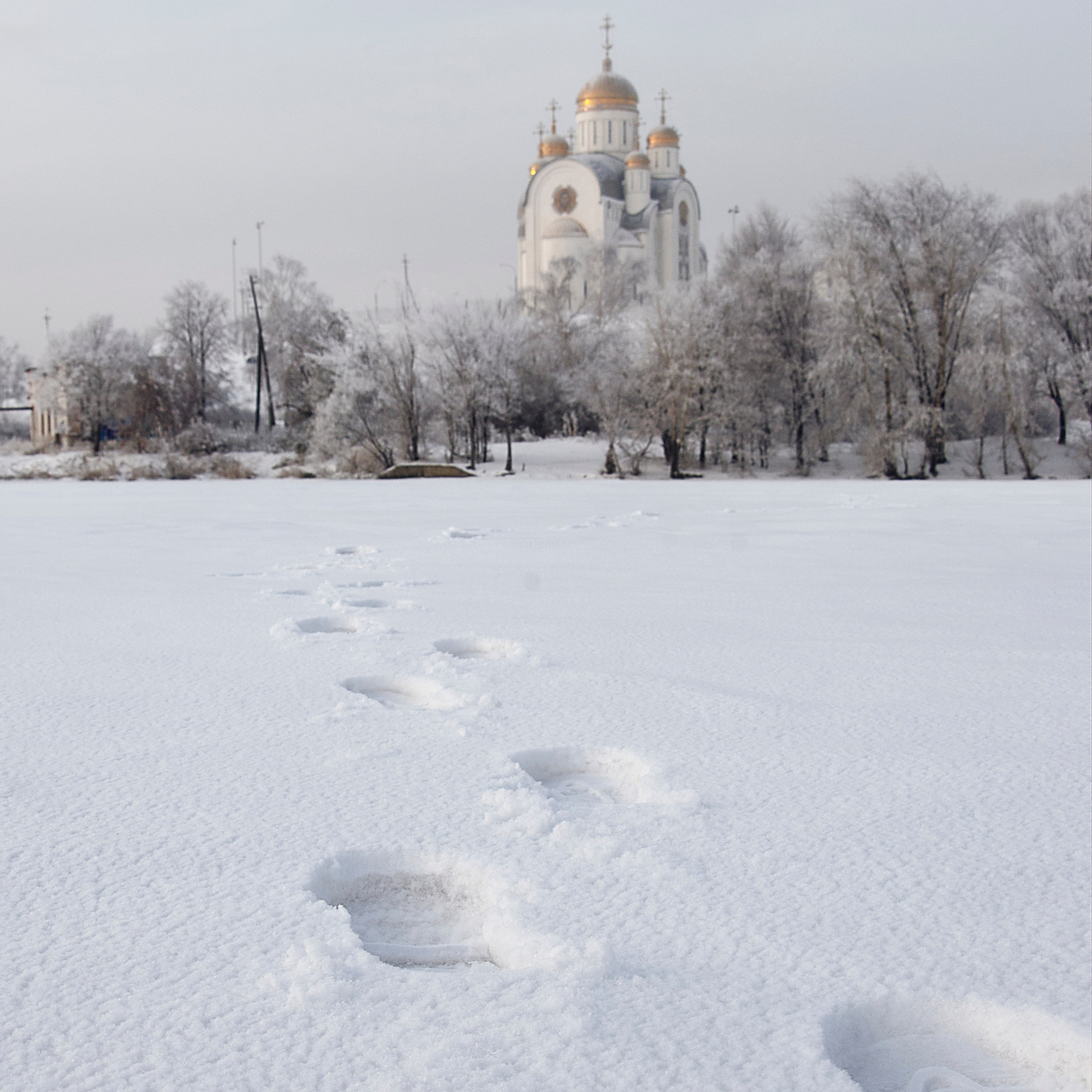 Соообытия. Evgeniy Roslov