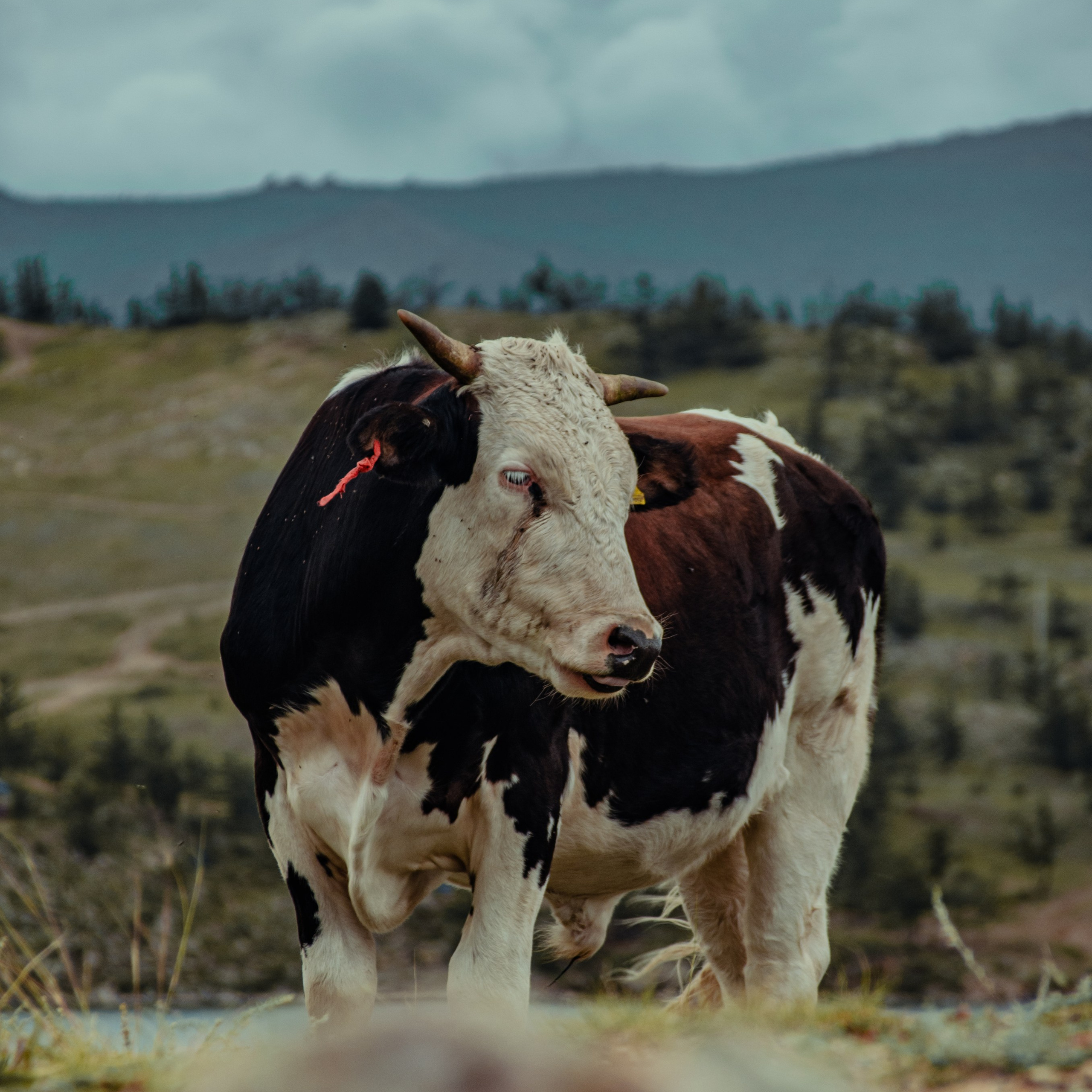 Services. Фотограф | Евгений Панченко — Москва