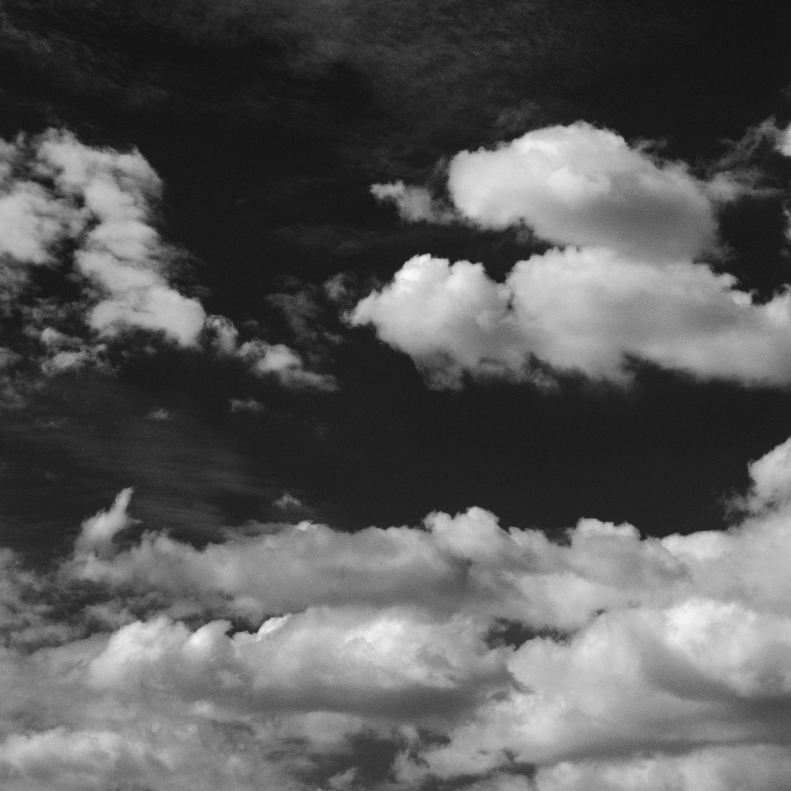 Свадебный фотограф в Волгограде и Краснодаре