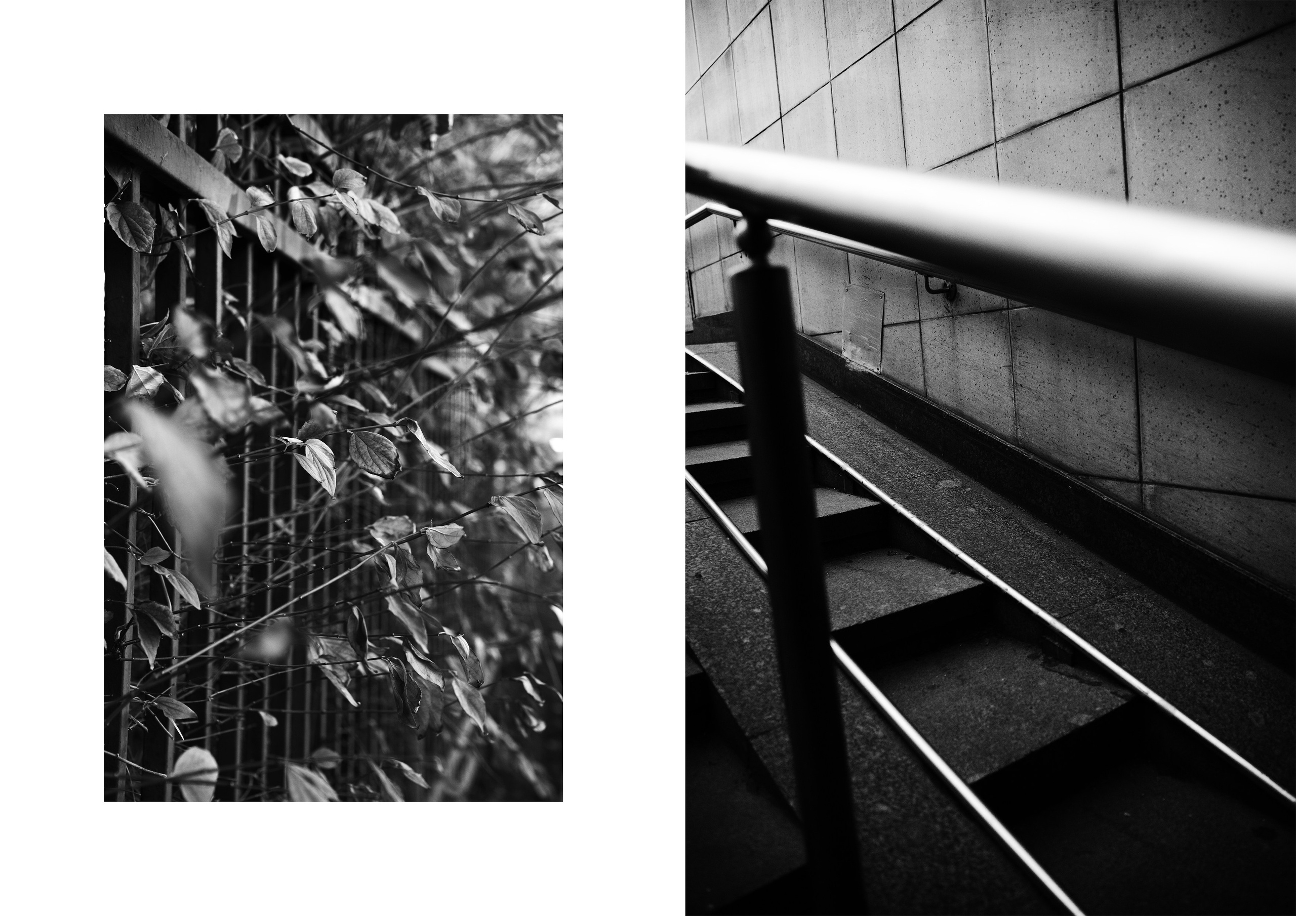 Где-то на Проспекте Мира. Фотограф из Москвы — DASHA NOVA | Авторская фотография в разных жанрах