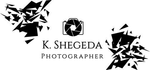 shegeda.wfolio.pro