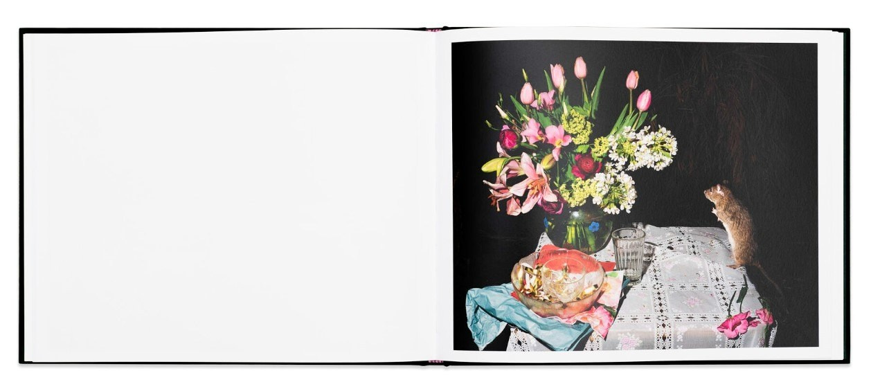 ОБЗОР АКТУАЛЬНЫХ ФОТОКНИГ: Листы I–XXXI. Самоорганизация Низина