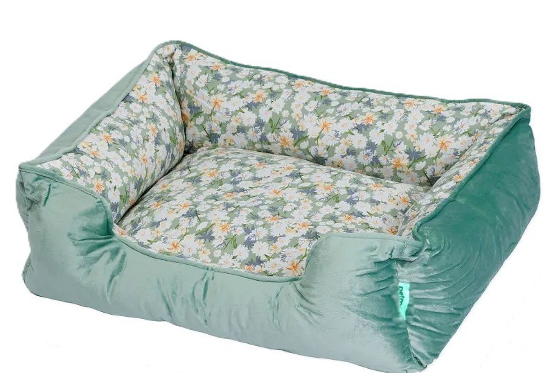 Котёнок американской бурмы. Las Burmas — питомник американской бурмы традиционных линий