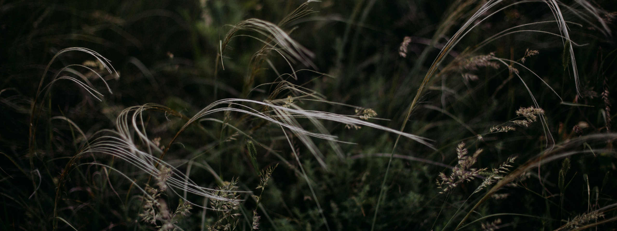 О нас. Мастерская шаманских бубнов и погремушек «Дороги ветра»