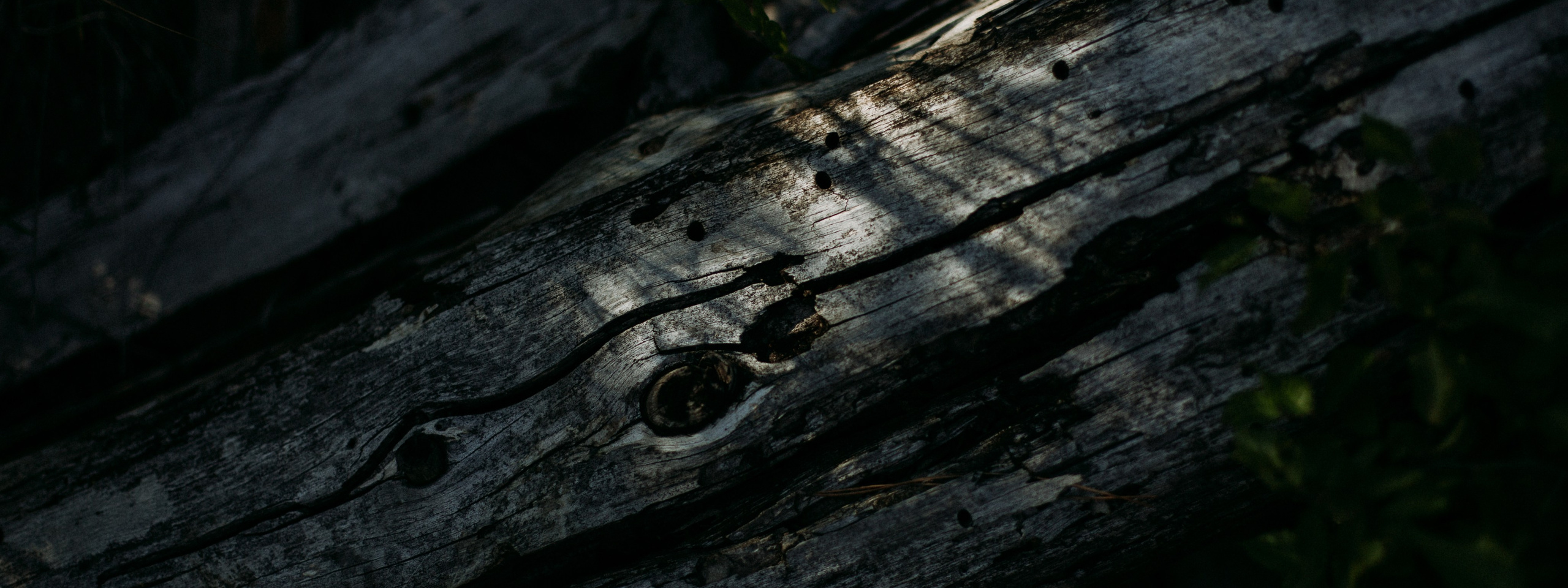 Консультации. Психолог и психоаналитический психотерапевт Юлия Шадрунова