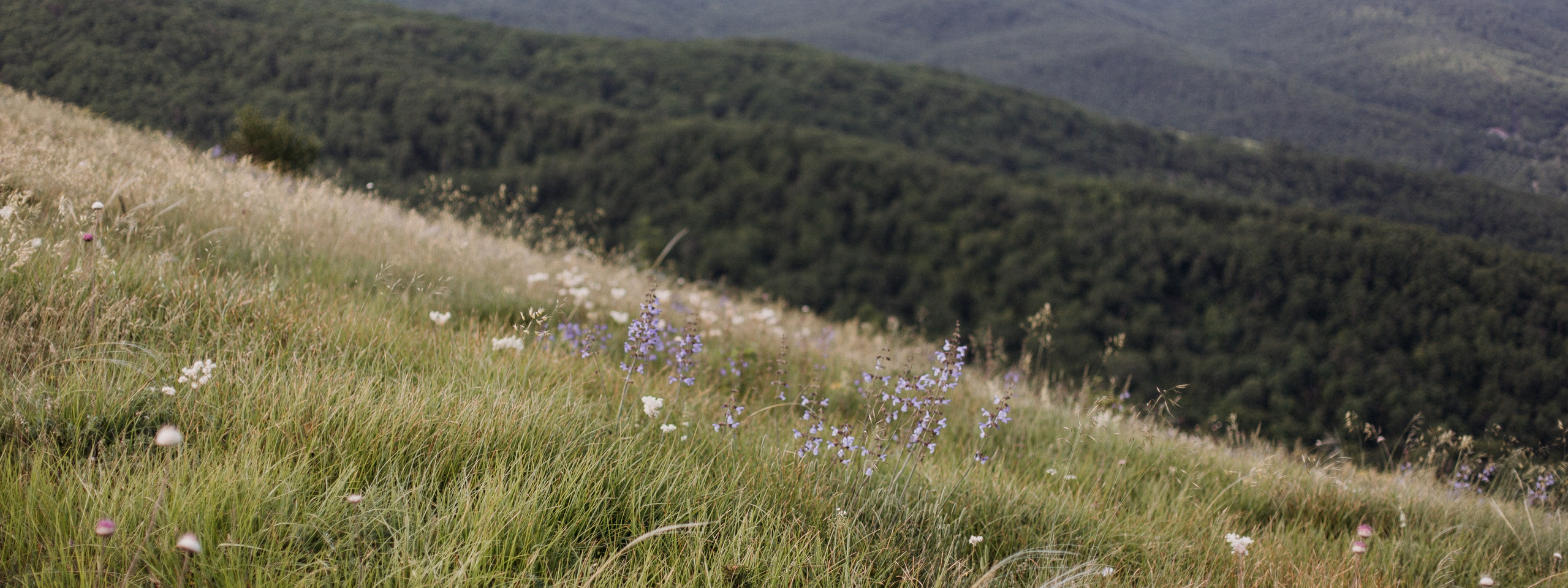 Наши бубны. Мастерская шаманских бубнов и погремушек «Дороги ветра»