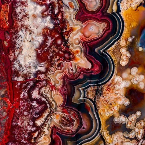 Беккер Анна