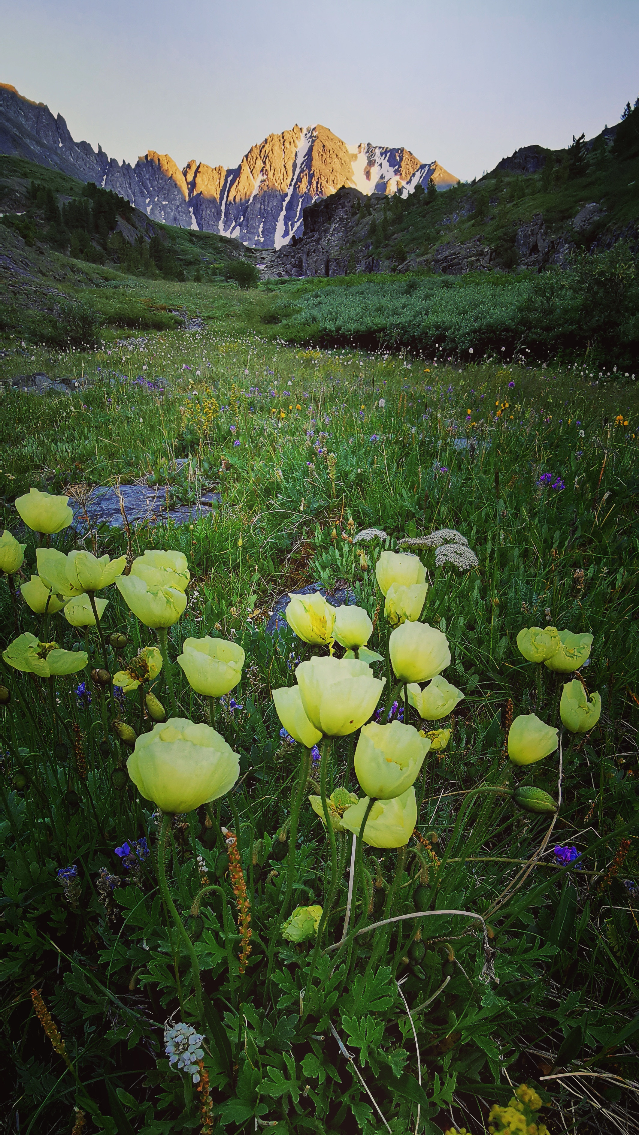 Ущелье водопадов. Профессиональный пейзажный фотограф Алёна Рубан