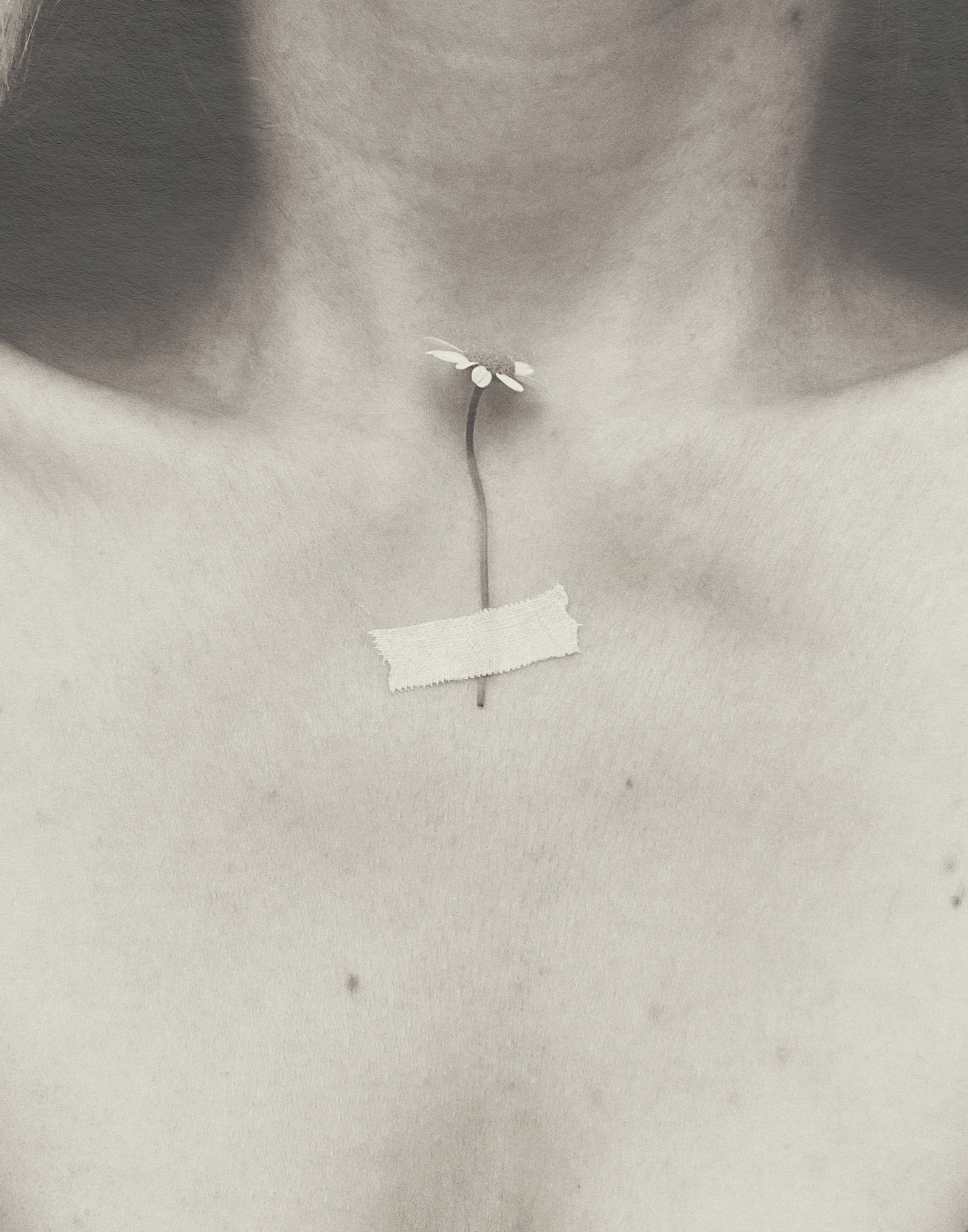 Серии. Visual artist