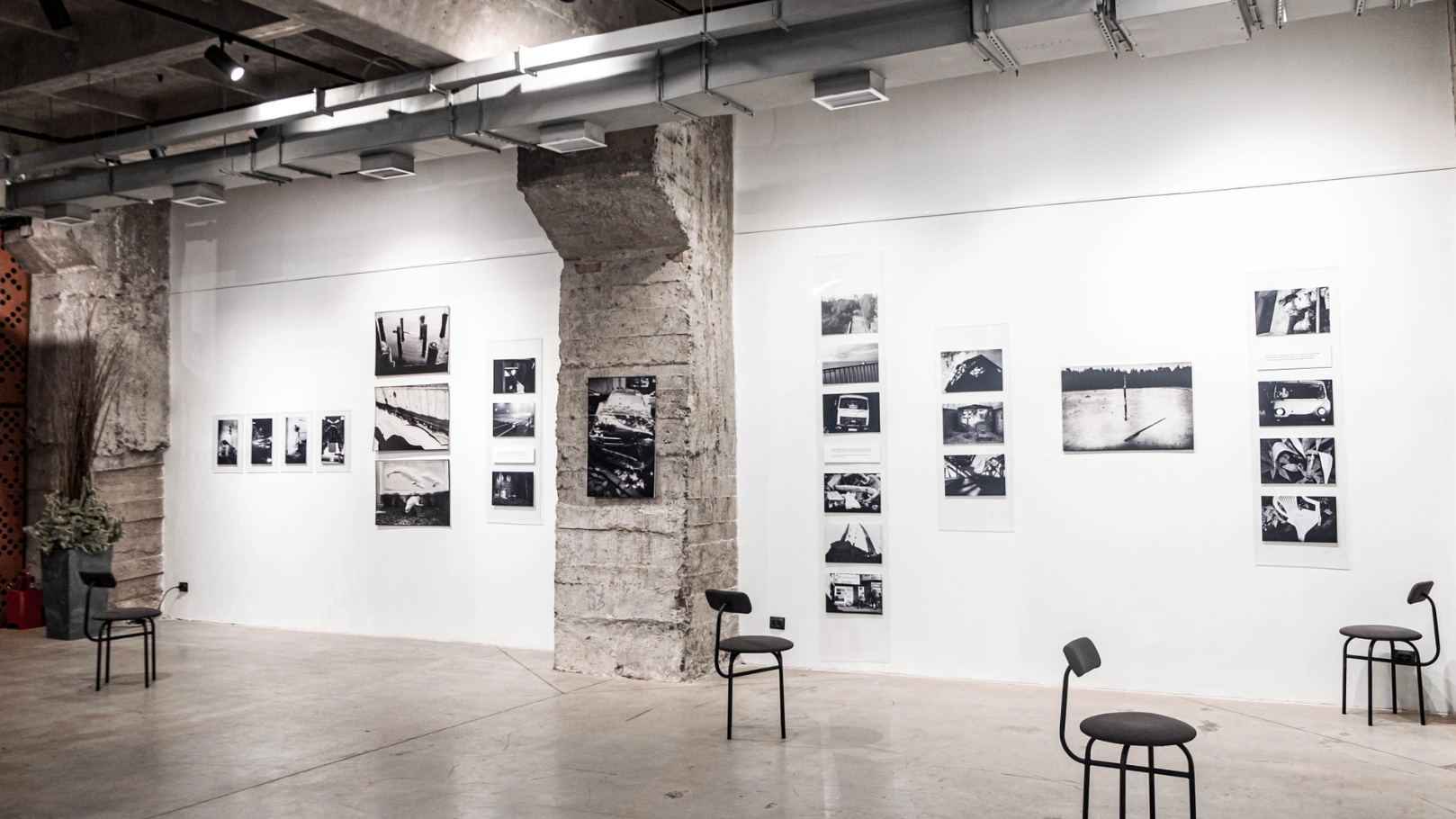 Curatorial practice. Elina Gusarova