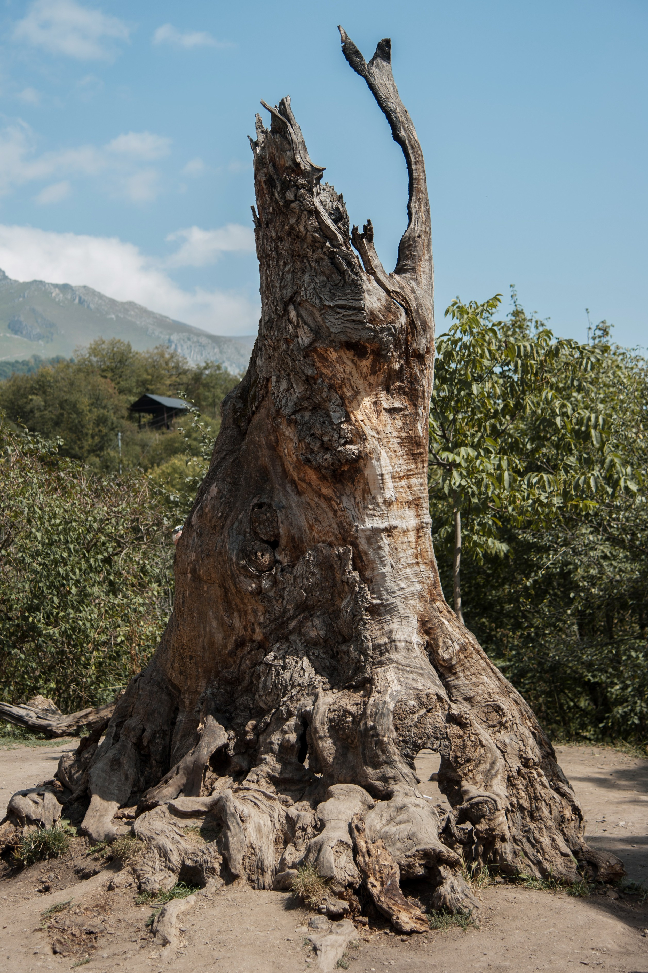 Точка равновесия. Арт-фотография, терапевтическая фотография в Москве. Фотограф Анна Ермолова