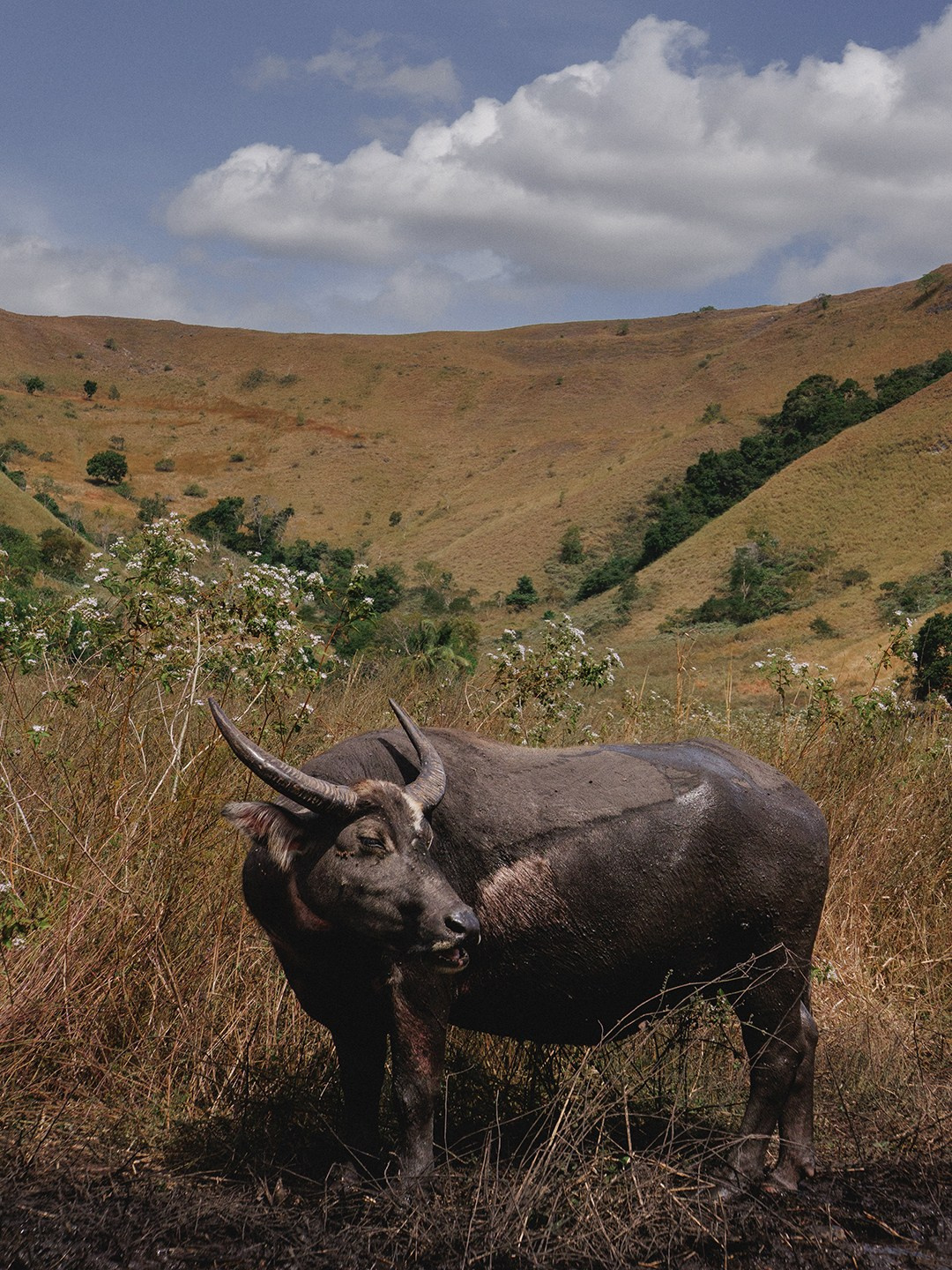 Самостоятельное путешествие на остров Сумба. Женский фотограф Марина Хоняк