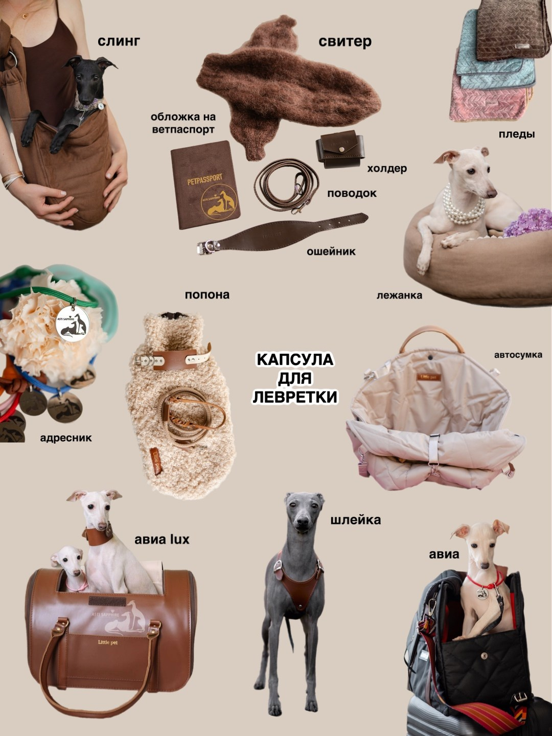 Одежда. Профессиональный питомник левреток РКФ/FCI ASTI SAPPHIRE 💎 Сочи|Санкт-Петербург