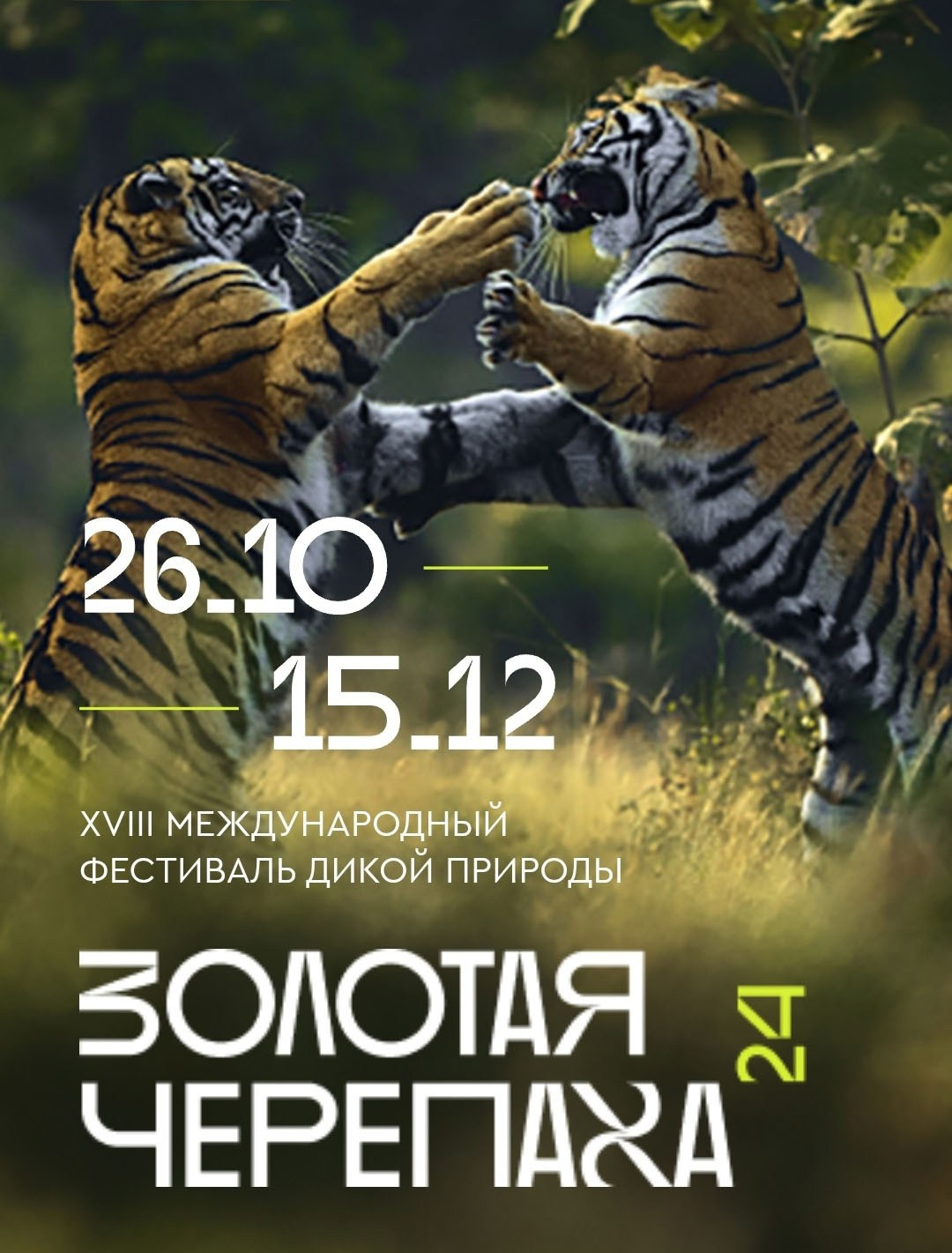 Новости проекта Photogeographic