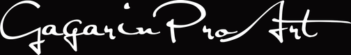 gagarin.wfolio.pro