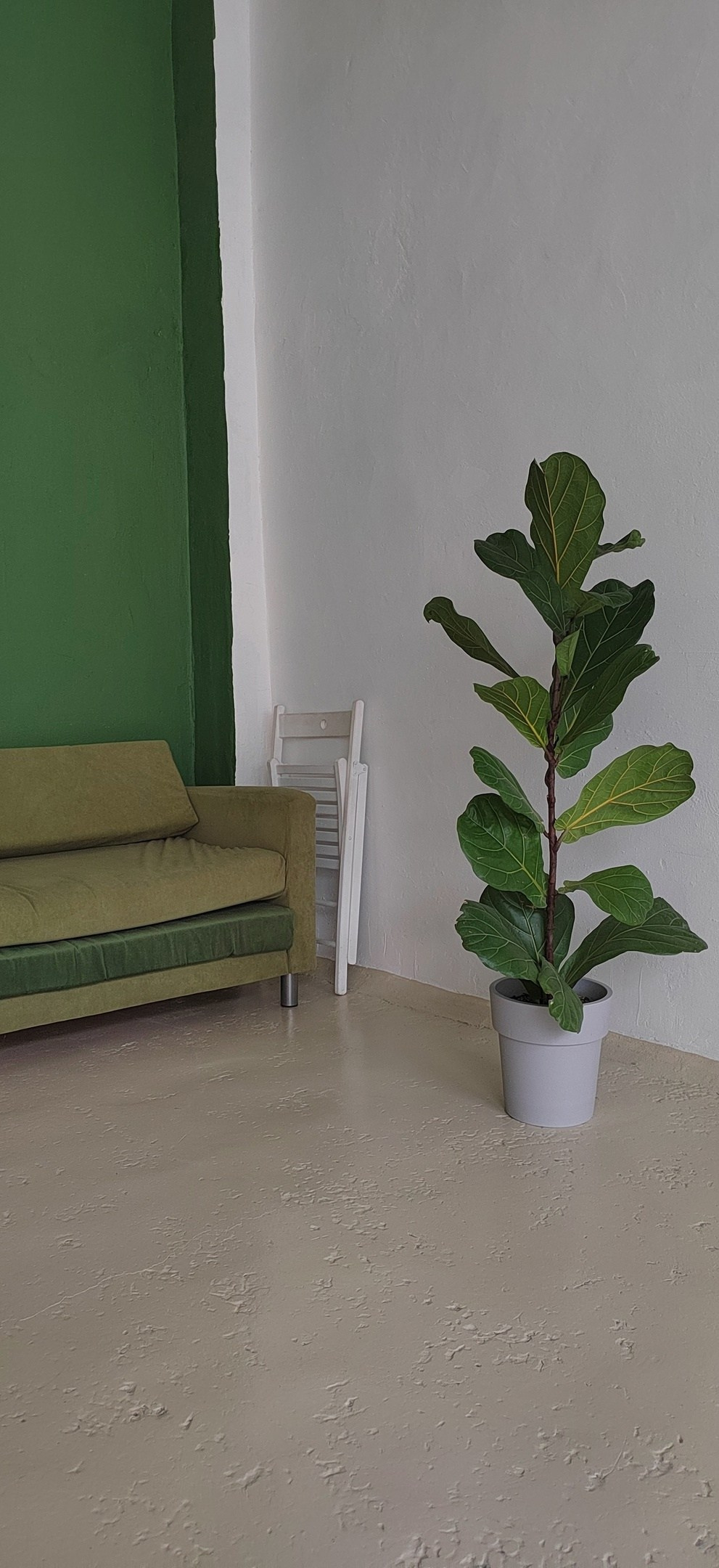 Студии г. Омск (1). Наталья Середа//Семейный фотограф в Омске