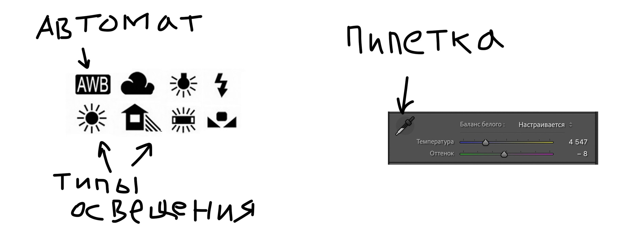 Среда 3. Свет и цвет. …