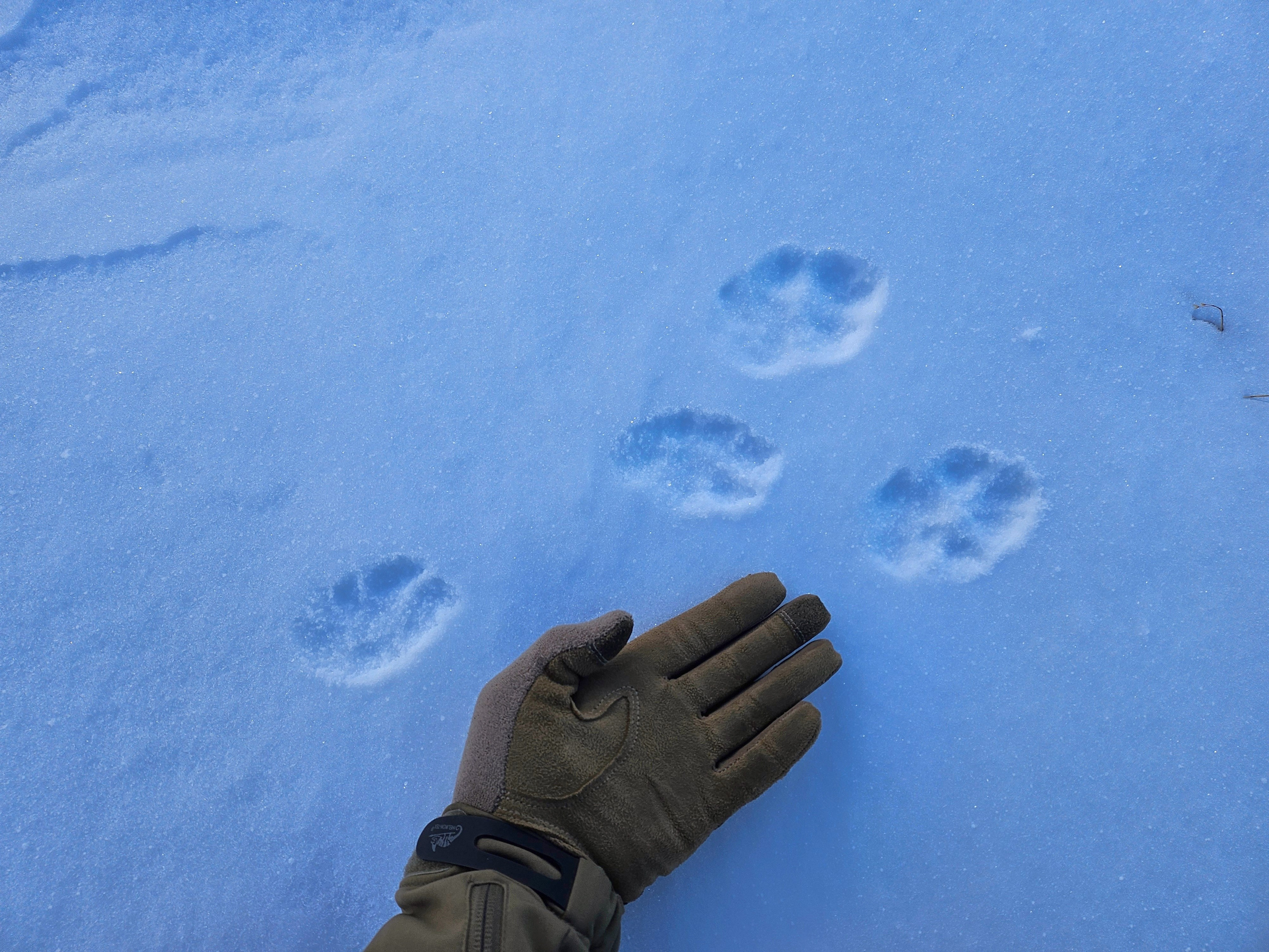 Путешествие по южному Алтаю. Семоха Валерий. Фотограф