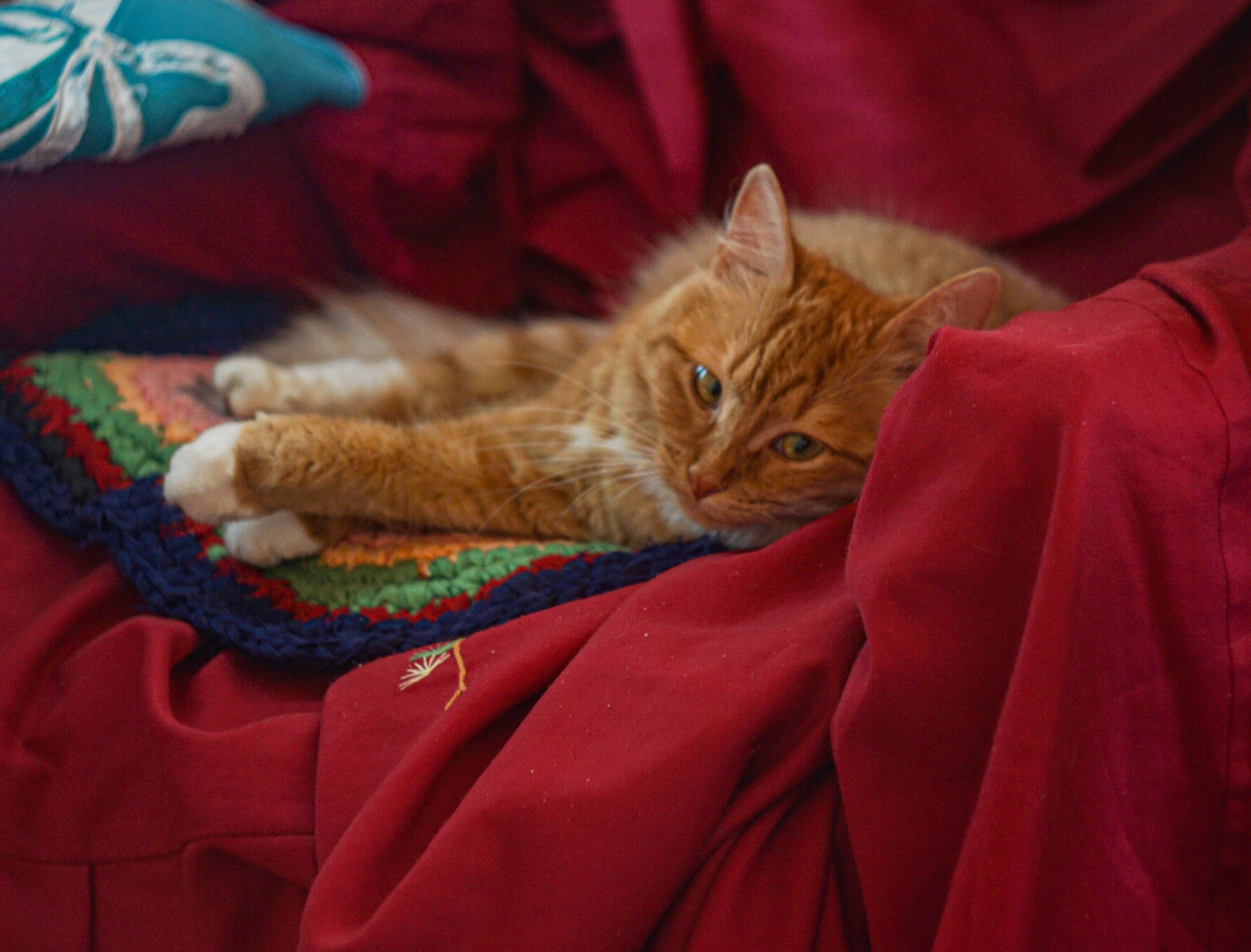 Вдохновение. Фотограф Софья Горбунова