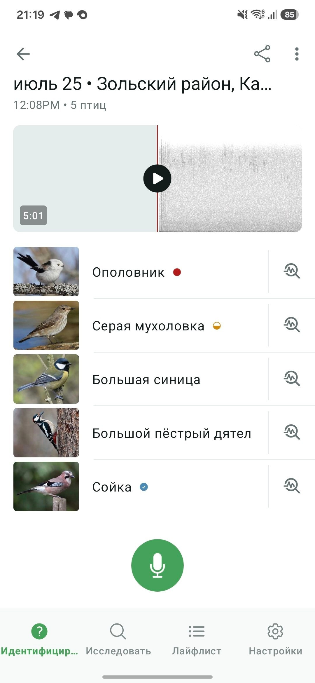 Не догонять, а ждать. Владимир Гурылёв — путешествия, природа и фотография