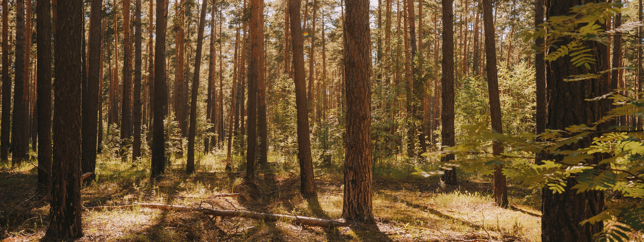 Нижний Новгород. Фотограф из Москвы — DASHA NOVA | Авторская фотография в разных жанрах
