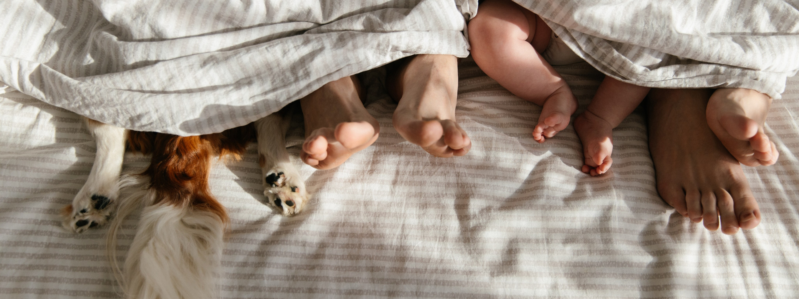 Услуги. Фотограф Катя Трусова