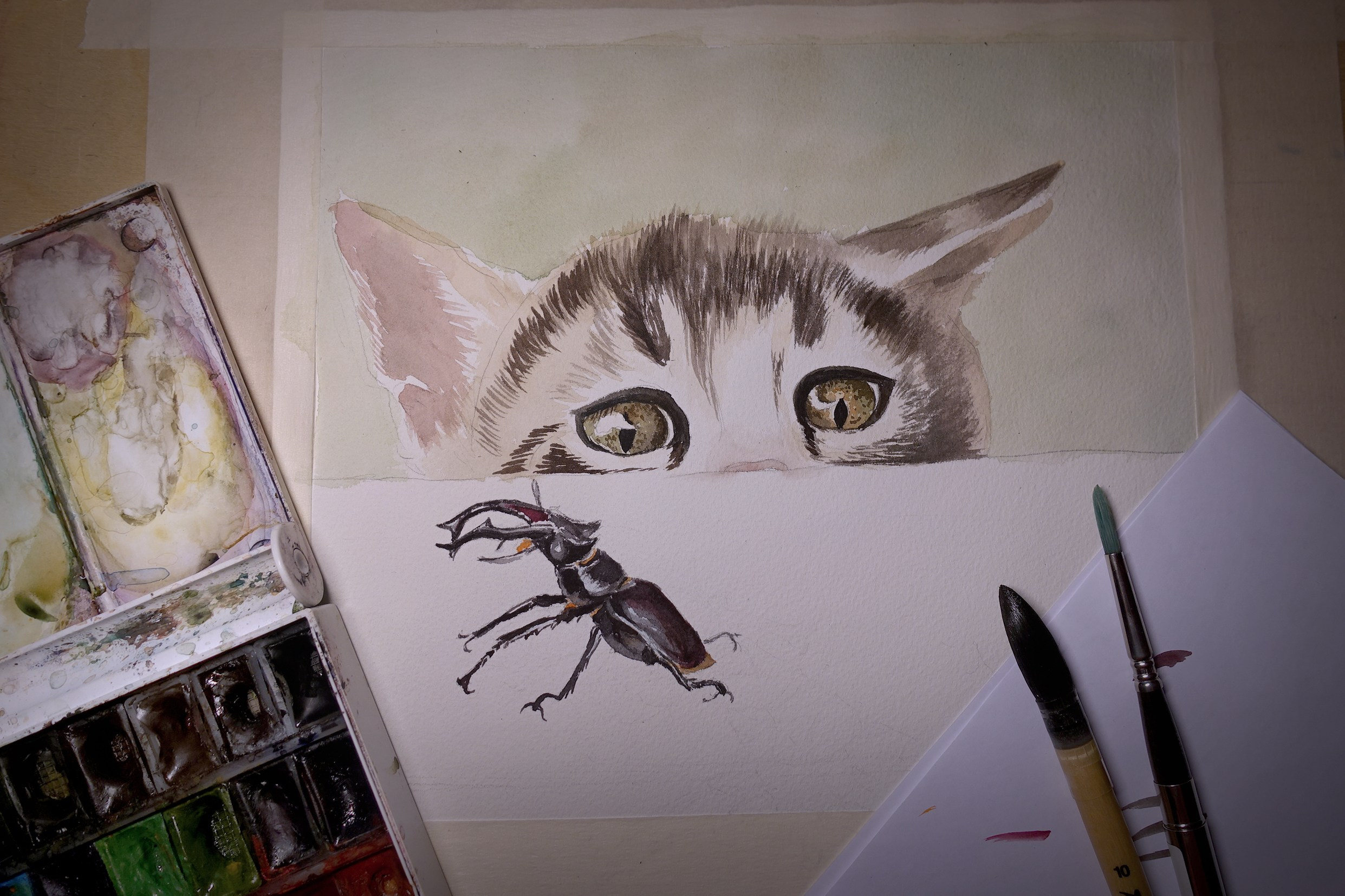 Обо мне. Наталия Моргунова. Фотограф в Королеве и Москве