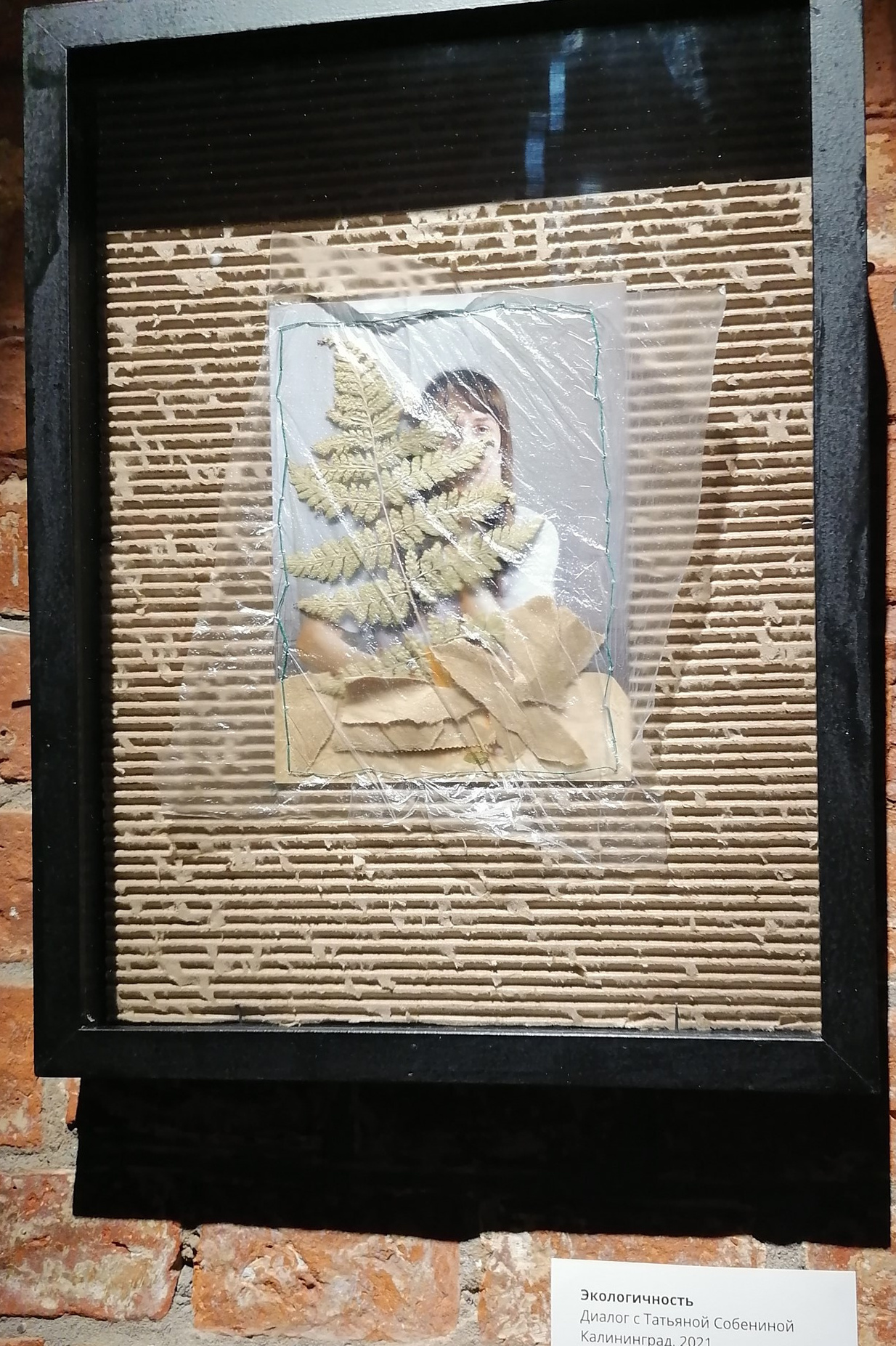 Персональная выставка проекта «Диалоги». Julia Gorbunova